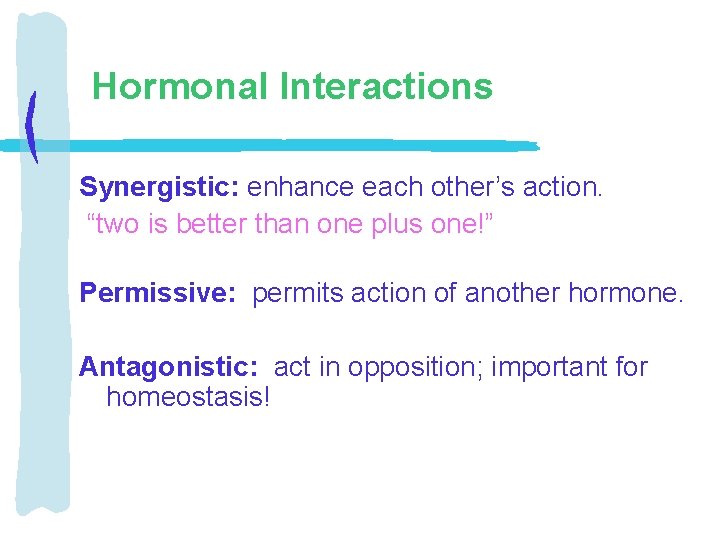 Hormonal Interactions Synergistic: enhance each other’s action. “two is better than one plus one!”