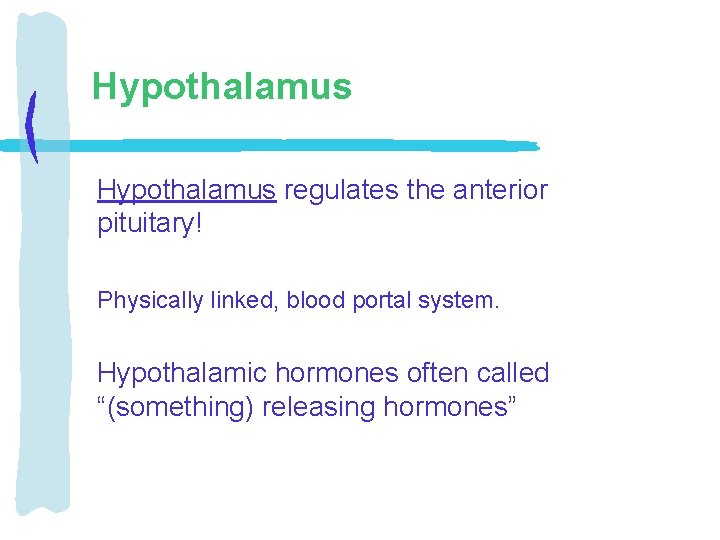 Hypothalamus regulates the anterior pituitary! Physically linked, blood portal system. Hypothalamic hormones often called