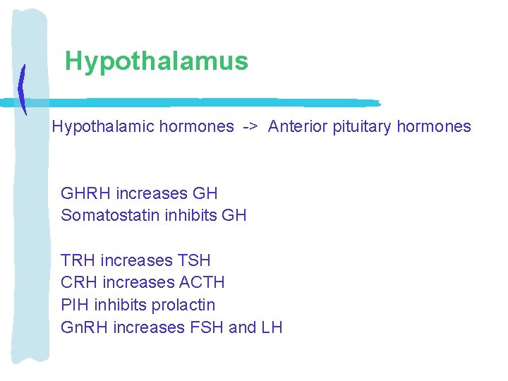 Hypothalamus Hypothalamic hormones -> Anterior pituitary hormones GHRH increases GH Somatostatin inhibits GH TRH