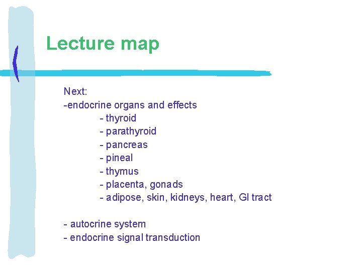 Lecture map Next: -endocrine organs and effects - thyroid - parathyroid - pancreas -