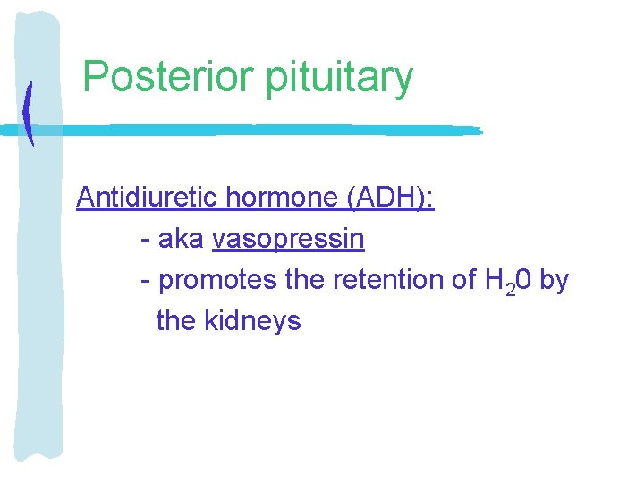 Posterior pituitary Antidiuretic hormone (ADH): - aka vasopressin - promotes the retention of H