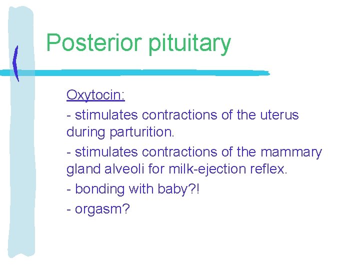 Posterior pituitary Oxytocin: - stimulates contractions of the uterus during parturition. - stimulates contractions