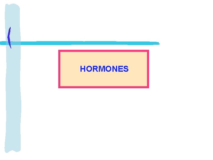 HORMONES 