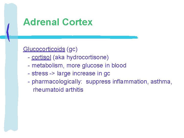 Adrenal Cortex Glucocorticoids (gc) - cortisol (aka hydrocortisone) - metabolism, more glucose in blood