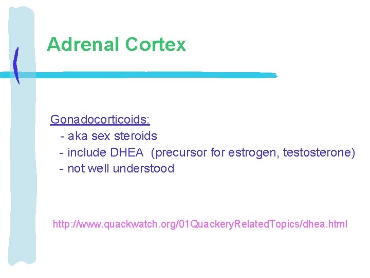 Adrenal Cortex Gonadocorticoids: - aka sex steroids - include DHEA (precursor for estrogen, testosterone)