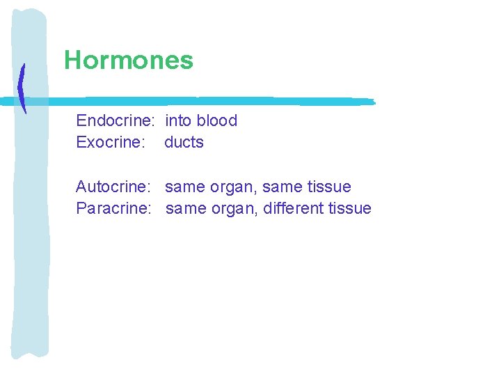 Hormones Endocrine: into blood Exocrine: ducts Autocrine: same organ, same tissue Paracrine: same organ,