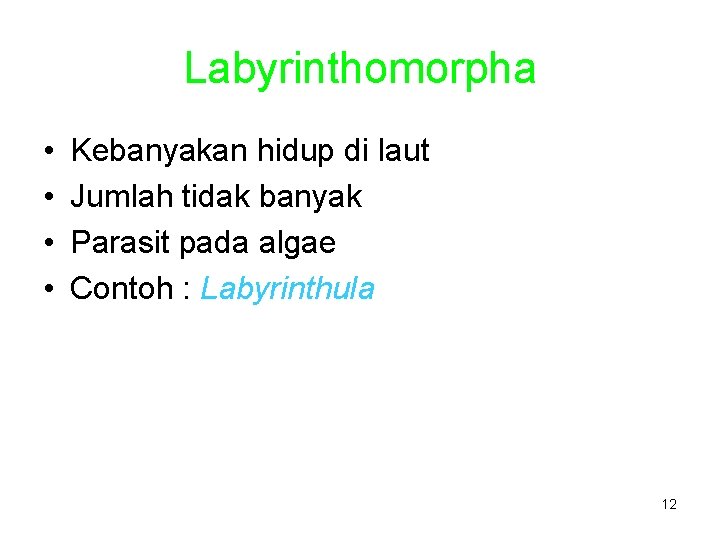 Labyrinthomorpha • • Kebanyakan hidup di laut Jumlah tidak banyak Parasit pada algae Contoh