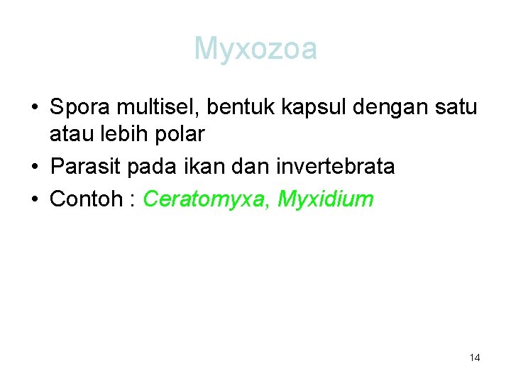 Myxozoa • Spora multisel, bentuk kapsul dengan satu atau lebih polar • Parasit pada