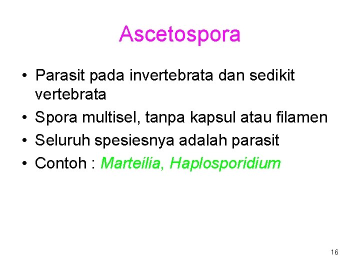 Ascetospora • Parasit pada invertebrata dan sedikit vertebrata • Spora multisel, tanpa kapsul atau