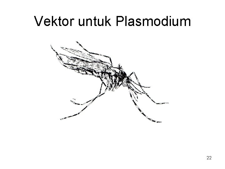 Vektor untuk Plasmodium 22 