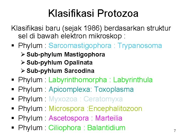 Klasifikasi Protozoa Klasifikasi baru (sejak 1986) berdasarkan struktur sel di bawah elektron mikroskop :
