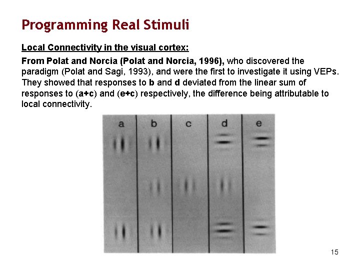 Programming Real Stimuli Local Connectivity in the visual cortex: From Polat and Norcia (Polat