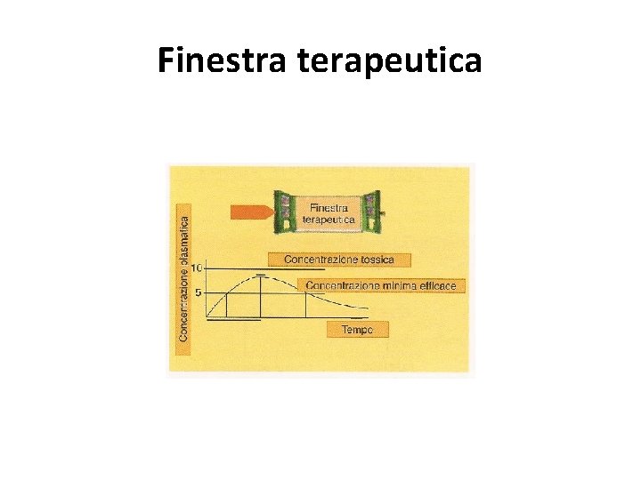 Finestra terapeutica 