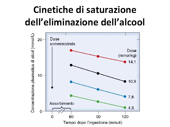 Cinetiche di saturazione dell’eliminazione dell’alcool 