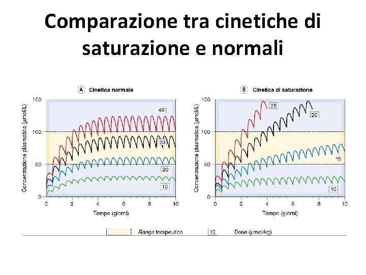 Comparazione tra cinetiche di saturazione e normali 