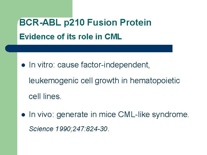 BCR-ABL p 210 Fusion Protein Evidence of its role in CML l In vitro: