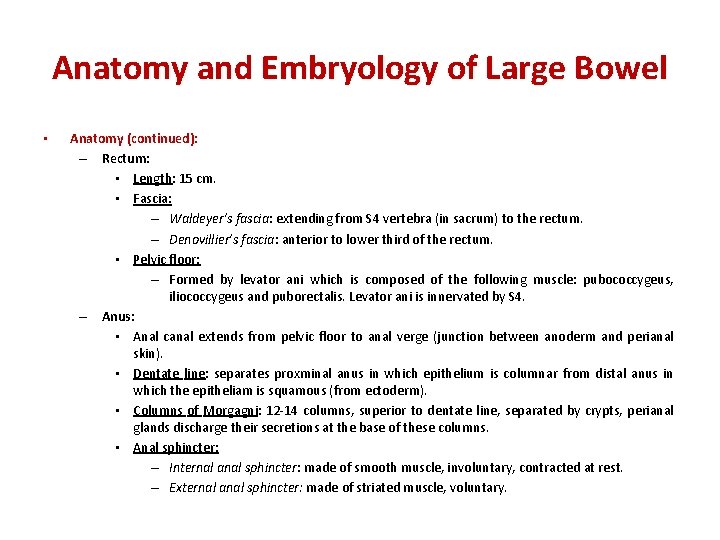 Anatomy and Embryology of Large Bowel • Anatomy (continued): – Rectum: • Length: 15