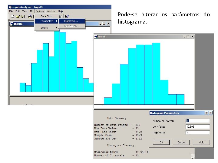 Pode-se alterar os parâmetros do histograma. 