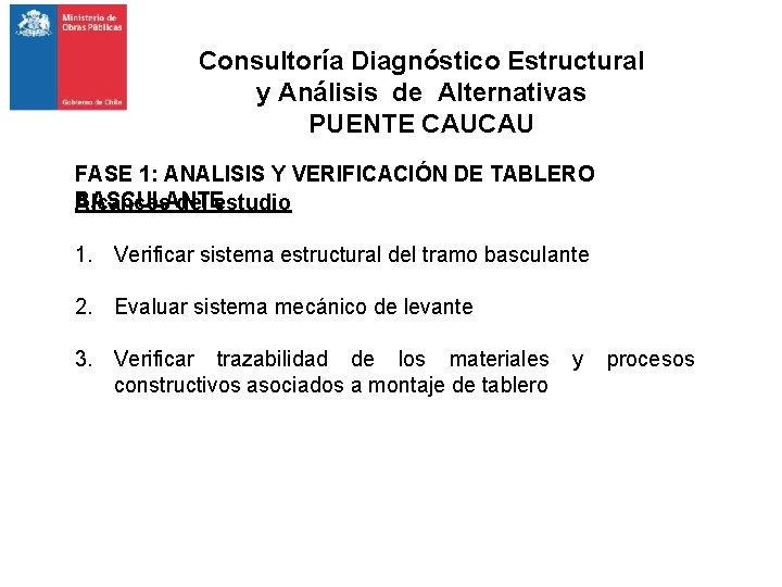 Consultoría Diagnóstico Estructural y Análisis de Alternativas PUENTE CAUCAU FASE 1: ANALISIS Y VERIFICACIÓN