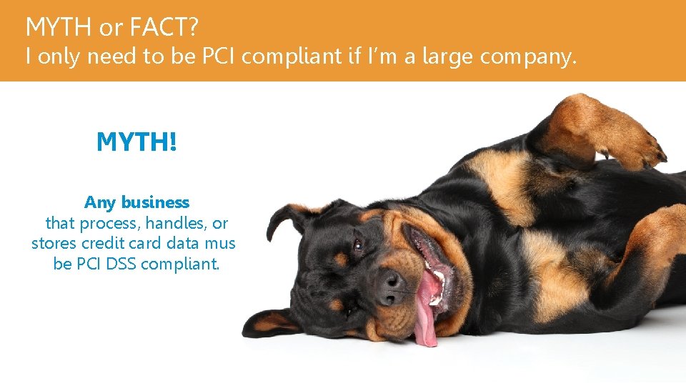MYTH or FACT? I only need to be PCI compliant if I’m a large