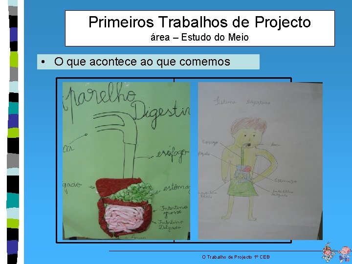 Primeiros Trabalhos de Projecto área – Estudo do Meio • O que acontece ao