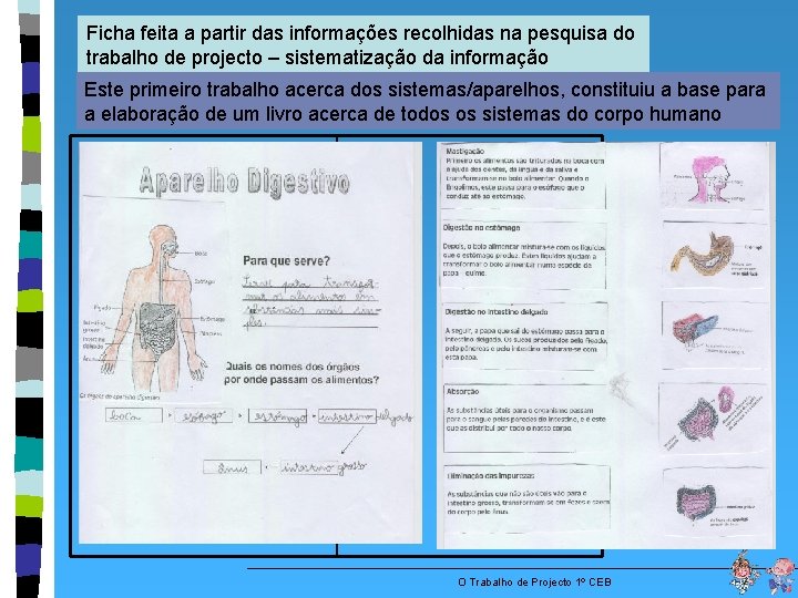 Ficha feita a partir das informações recolhidas na pesquisa do trabalho de projecto –