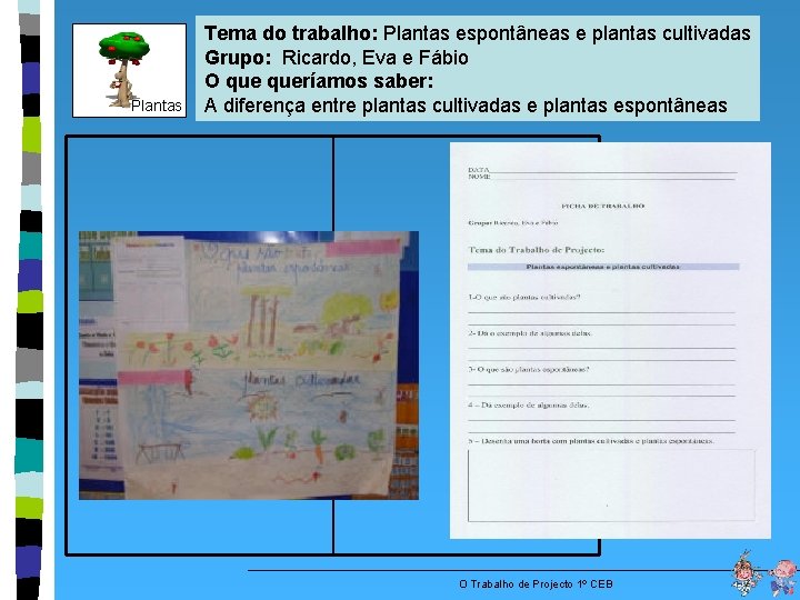  Plantas Tema do trabalho: Plantas espontâneas e plantas cultivadas Grupo: Ricardo, Eva e