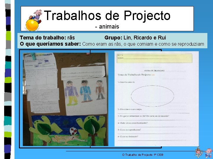 Trabalhos de Projecto - animais Tema do trabalho: rãs Grupo: Lin, Ricardo e Rui