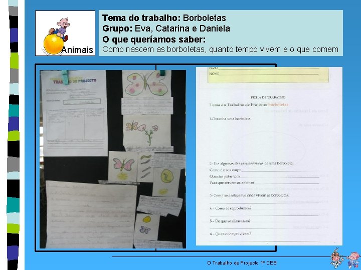 Tema do trabalho: Borboletas Grupo: Eva, Catarina e Daniela O queríamos saber: Animais Como