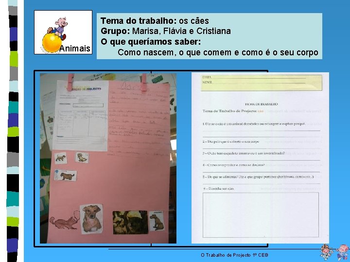 Animais Tema do trabalho: os cães Grupo: Marisa, Flávia e Cristiana O queríamos saber: