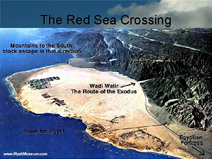 The Red Sea Crossing 