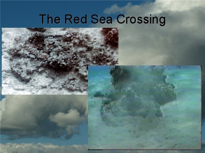 The Red Sea Crossing 