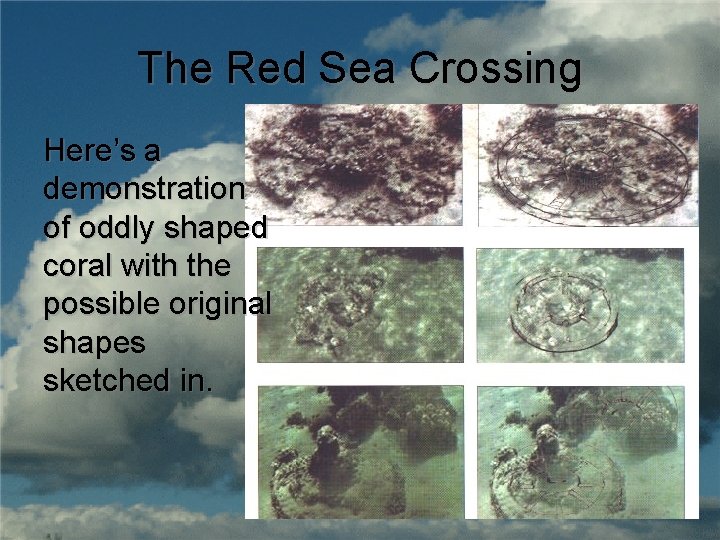 The Red Sea Crossing Here’s a demonstration of oddly shaped coral with the possible