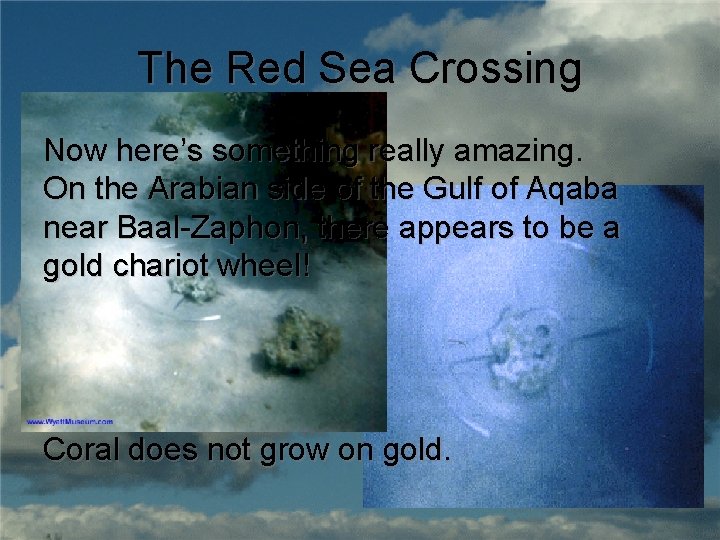 The Red Sea Crossing Now here’s something really amazing. On the Arabian side of