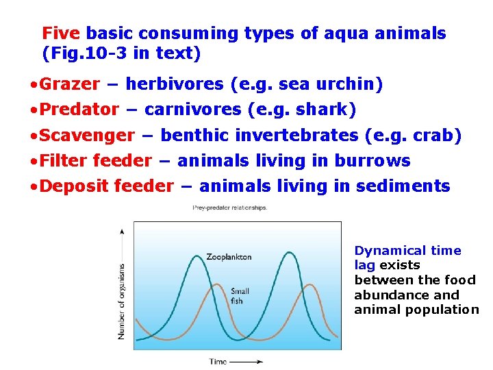 Five basic consuming types of aqua animals (Fig. 10 -3 in text) • Grazer