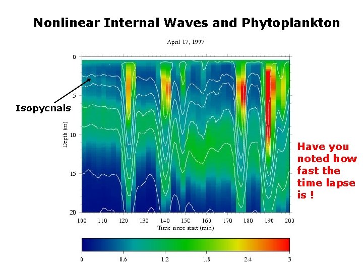 Nonlinear Internal Waves and Phytoplankton Isopycnals Have you noted how fast the time lapse