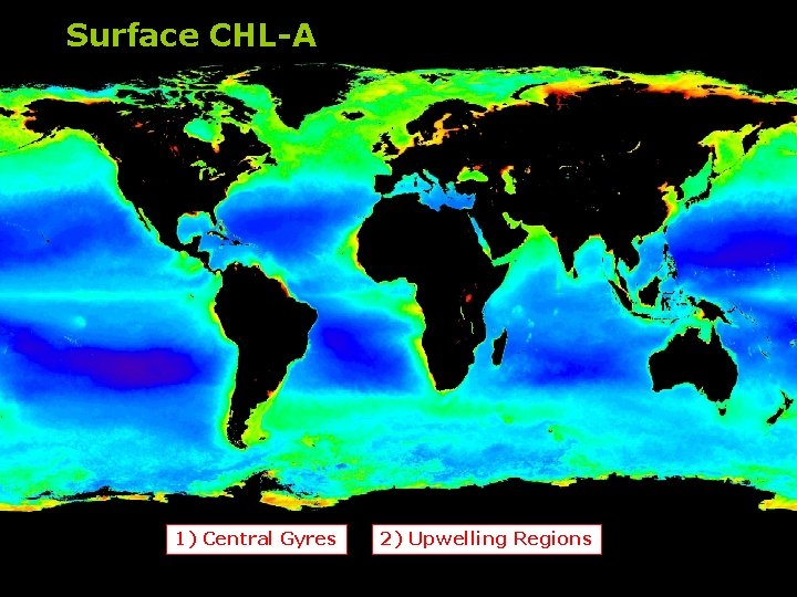 Surface CHL-A 1) Central Gyres 2) Upwelling Regions 