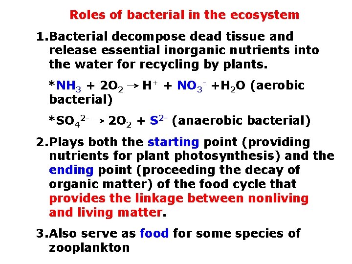 Roles of bacterial in the ecosystem 1. Bacterial decompose dead tissue and release essential
