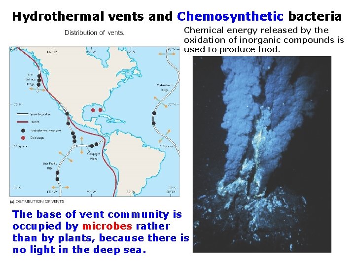 Hydrothermal vents and Chemosynthetic bacteria Chemical energy released by the oxidation of inorganic compounds