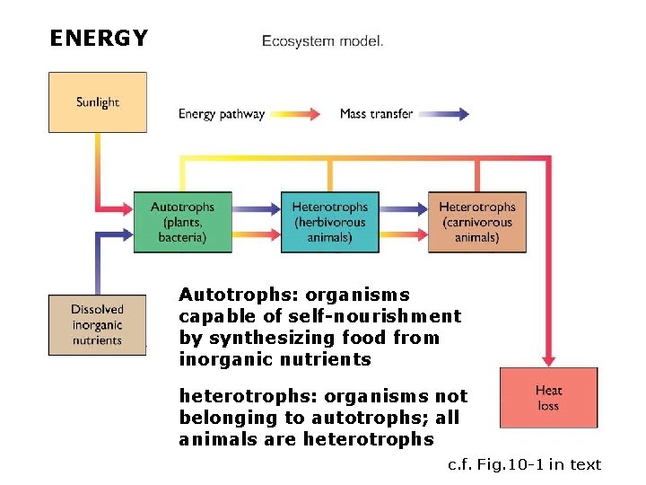 ENERGY Autotrophs: organisms capable of self-nourishment by synthesizing food from inorganic nutrients heterotrophs: organisms
