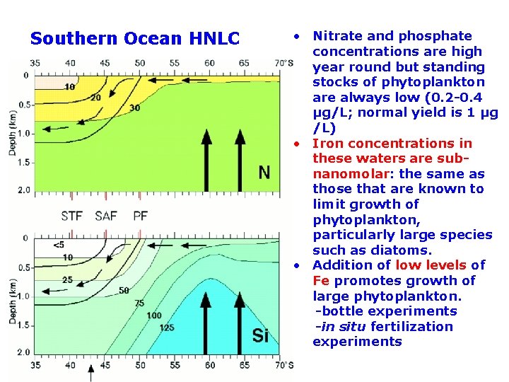 Southern Ocean HNLC • Nitrate and phosphate concentrations are high year round but standing