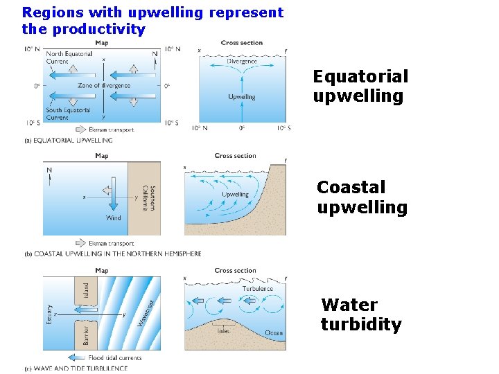 Regions with upwelling represent the productivity Equatorial upwelling Coastal upwelling Water turbidity 