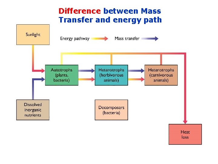 Difference between Mass Transfer and energy path 