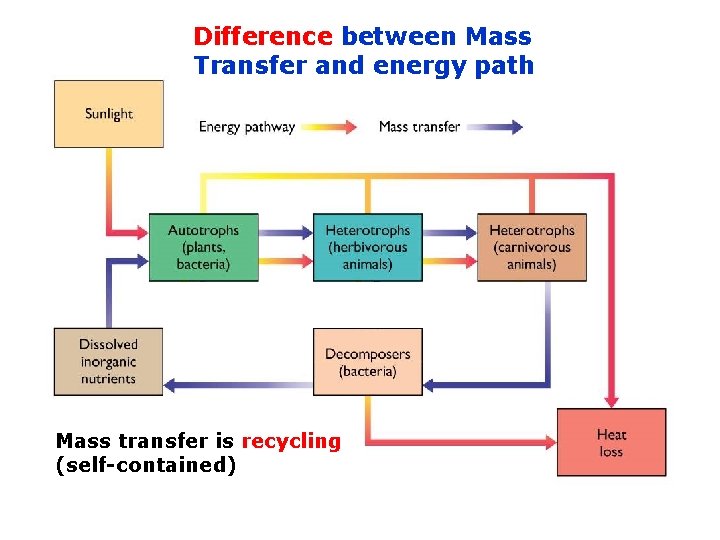 Difference between Mass Transfer and energy path Mass transfer is recycling (self-contained) 