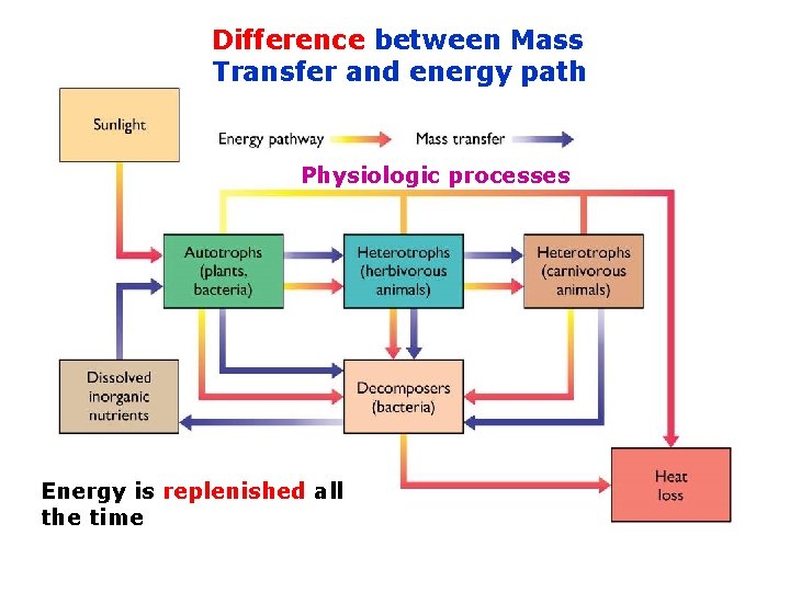 Difference between Mass Transfer and energy path Physiologic processes Energy is replenished all the