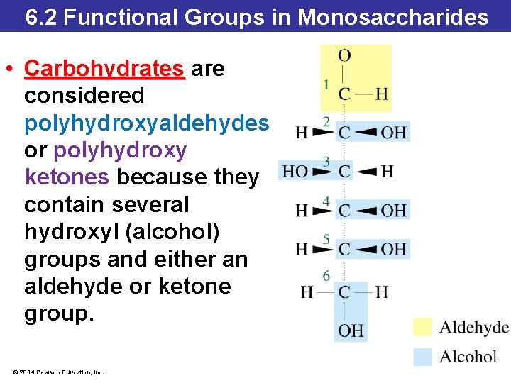 6. 2 Functional Groups in Monosaccharides • Carbohydrates are Carbohydrates considered polyhydroxyaldehydes or polyhydroxy