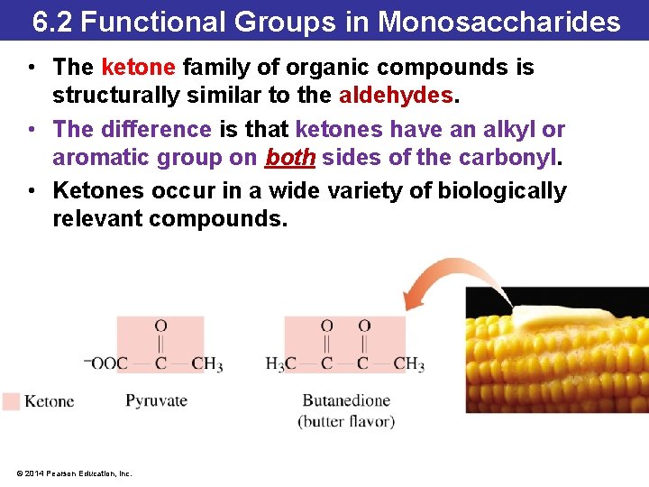 6. 2 Functional Groups in Monosaccharides • The ketone family of organic compounds is