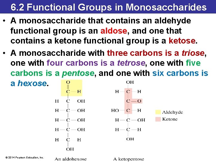 6. 2 Functional Groups in Monosaccharides • A monosaccharide that contains an aldehyde functional