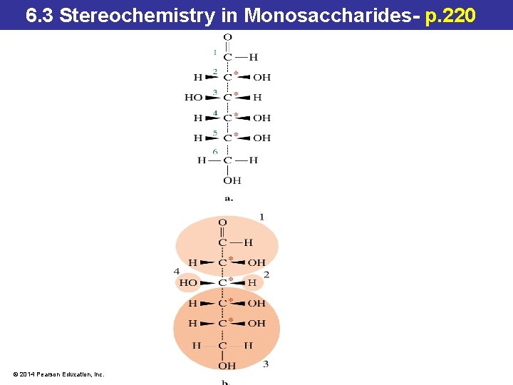 6. 3 Stereochemistry in Monosaccharides- p. 220 © 2014 Pearson Education, Inc. 