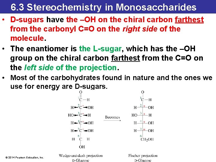 6. 3 Stereochemistry in Monosaccharides • D-sugars have the –OH on the chiral carbon